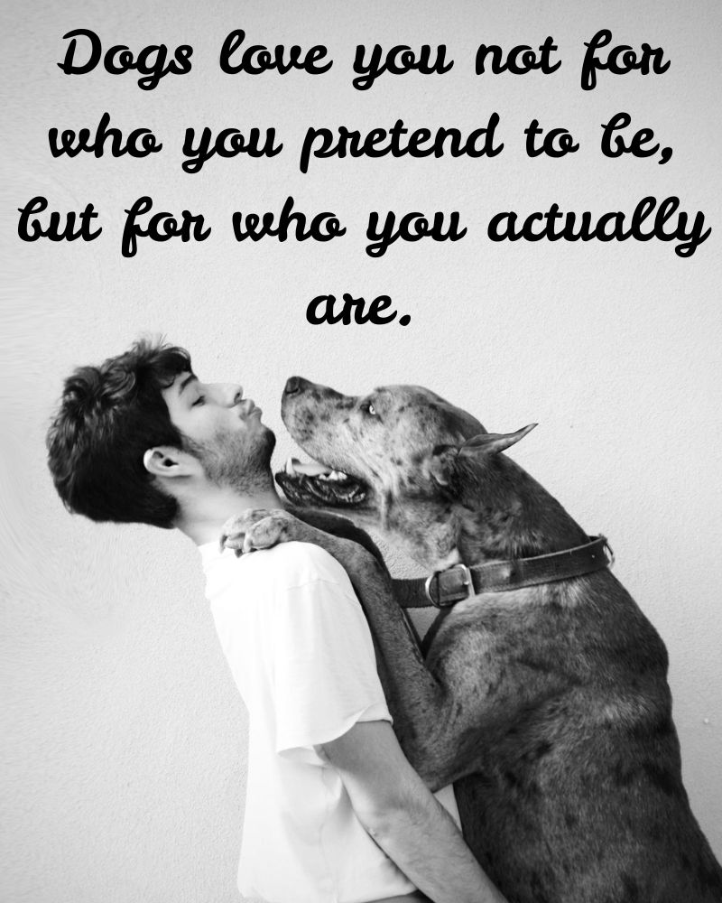 dog-love-quotes-for-instagram