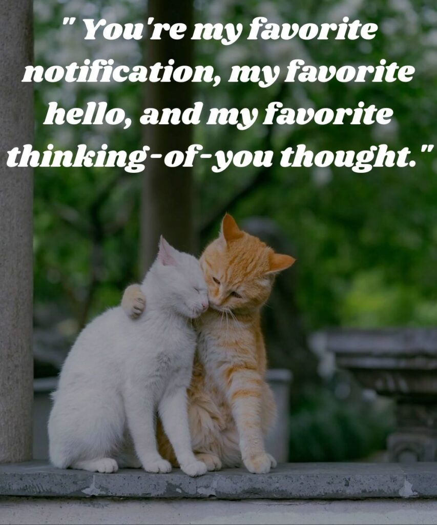 playfully-romantic-thinking-of-you-lines