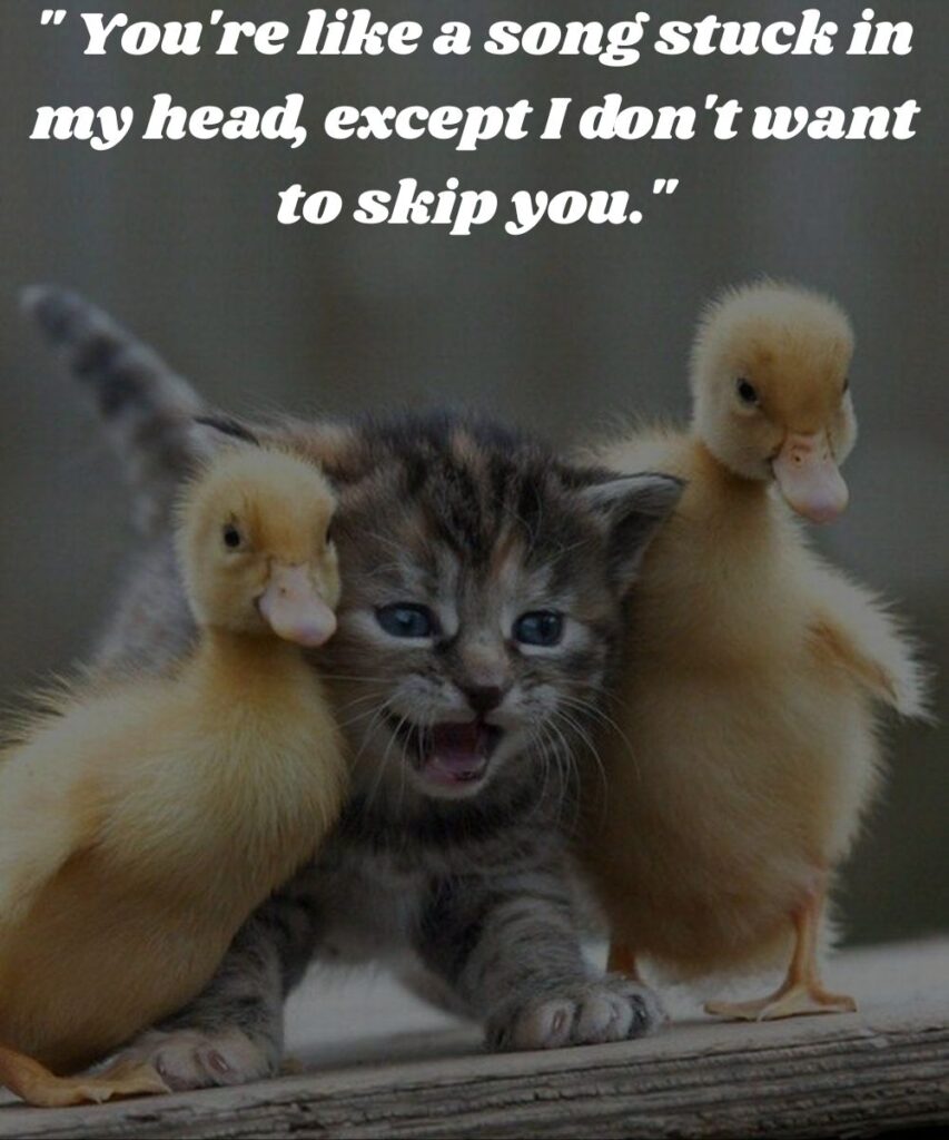 sweet-and-silly-thinking-of-you-quotes