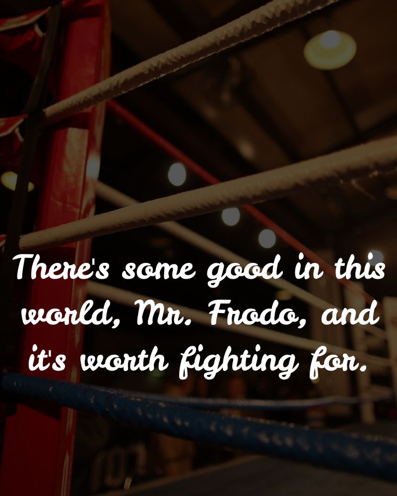 the-ring-bearers-journey-in-words-quotes