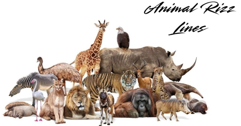 animal-rizz-lines