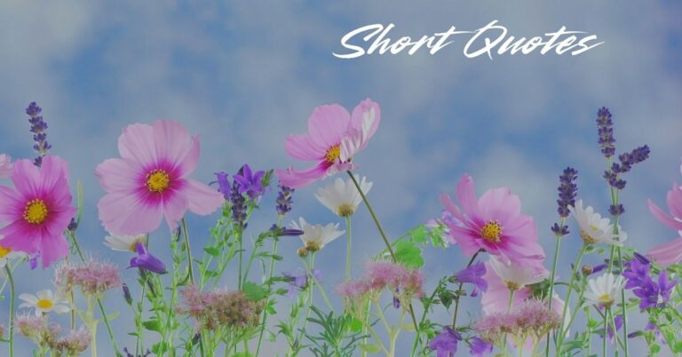 short-quotes